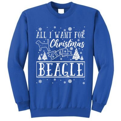 All I Want For Christmas Is My Beagle Funny Xmas Funny Gift Tall Sweatshirt