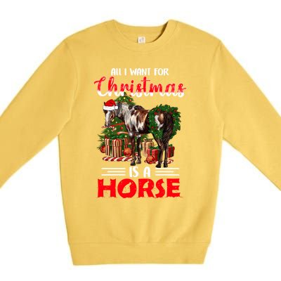 All I Want For Christmas Is A Horse Barrel Equestrian Xmas Gift Premium Crewneck Sweatshirt