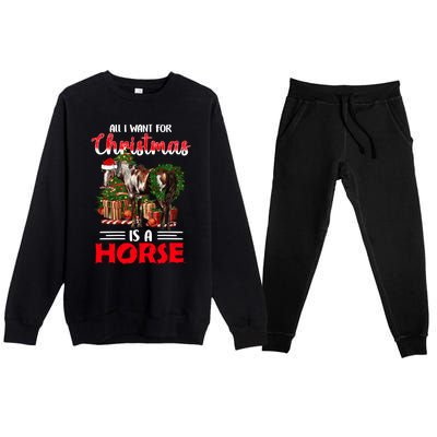 All I Want For Christmas Is A Horse Barrel Equestrian Xmas Gift Premium Crewneck Sweatsuit Set