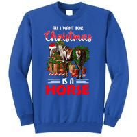 All I Want For Christmas Is A Horse Barrel Equestrian Xmas Gift Tall Sweatshirt