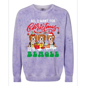 All I Want For Xmas Is A Beagle Three Santa Reindeer Dogs Gift Colorblast Crewneck Sweatshirt