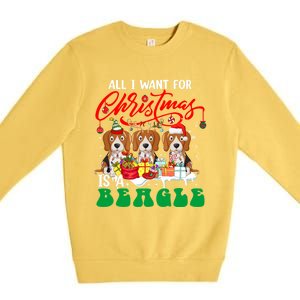 All I Want For Xmas Is A Beagle Three Santa Reindeer Dogs Gift Premium Crewneck Sweatshirt