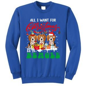 All I Want For Xmas Is A Beagle Three Santa Reindeer Dogs Gift Sweatshirt