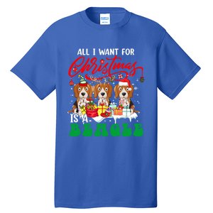 All I Want For Xmas Is A Beagle Three Santa Reindeer Dogs Gift Tall T-Shirt