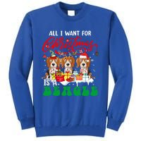 All I Want For Xmas Is A Beagle Three Santa Reindeer Dogs Gift Tall Sweatshirt