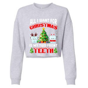 All I Want For Christmas Is My Two Front Teeth Funny Xmas Gift Cropped Pullover Crew