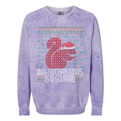 All I Want Is A Squirrel Red Plaid Ugly Christmas Sweater Gift Colorblast Crewneck Sweatshirt