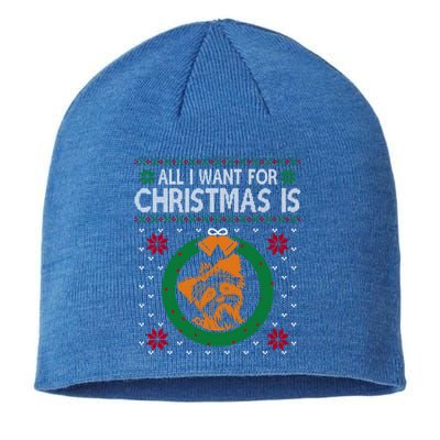 All I Want For Christmas Is Yorkshire Terriers Gift Sustainable Beanie