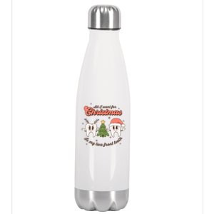 All I Want For Christmas Is My Two Front Teeth Funny Gift Stainless Steel Insulated Water Bottle