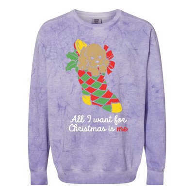 All I Want For Christmas Is Me Colorblast Crewneck Sweatshirt