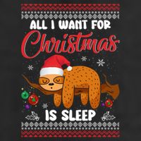 All I Want For Xmas Is Sleep Funny Sloth Gift Garment-Dyed Fleece Hoodie