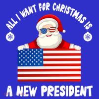 All I Want For Christmas Is A New President Great Gift 16 in Basic Backpack