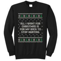 All I Want Is My Back To Stop Hurting Funny Christmas Premium Sweatshirt