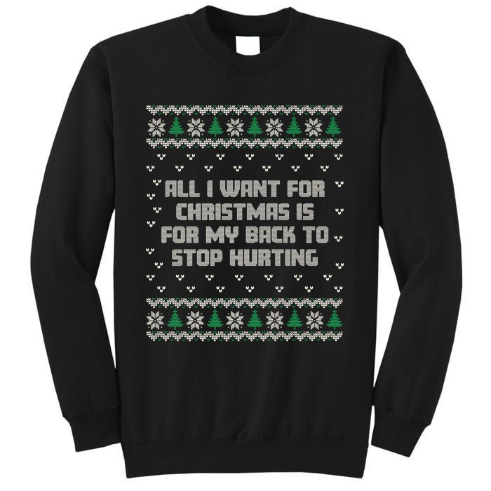 All I Want Is My Back To Stop Hurting Funny Christmas Premium Sweatshirt