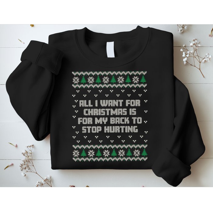 All I Want Is My Back To Stop Hurting Funny Christmas Premium Sweatshirt