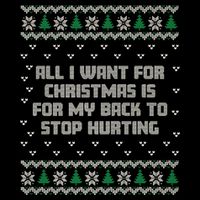 All I Want Is My Back To Stop Hurting Funny Christmas Premium Drawstring Bag