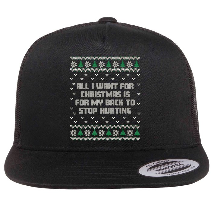 All I Want Is My Back To Stop Hurting Funny Christmas Premium Flat Bill Trucker Hat