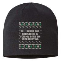 All I Want Is My Back To Stop Hurting Funny Christmas Premium Sustainable Beanie