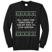 All I Want Is My Back To Stop Hurting Funny Christmas Premium Tall Sweatshirt