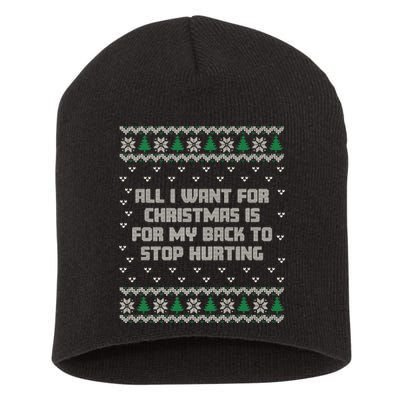 All I Want Is My Back To Stop Hurting Funny Christmas Premium Short Acrylic Beanie