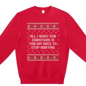 All I Want Is My Back To Stop Hurting Funny Christmas Premium Premium Crewneck Sweatshirt