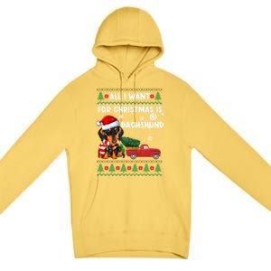 All I Want For Christmas Is Dachshund Ugly Christmas Sweater Gift Premium Pullover Hoodie