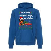 All I Want For Christmas Is Dachshund Ugly Christmas Sweater Gift Premium Hoodie