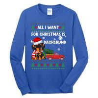 All I Want For Christmas Is Dachshund Ugly Christmas Sweater Gift Tall Long Sleeve T-Shirt