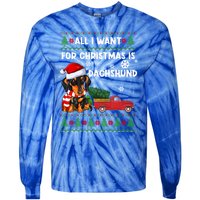 All I Want For Christmas Is Dachshund Ugly Christmas Sweater Gift Tie-Dye Long Sleeve Shirt