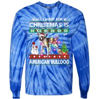 All I Want For Christmas Is American Bulldog Dog Xmas Gift Tie-Dye Long Sleeve Shirt