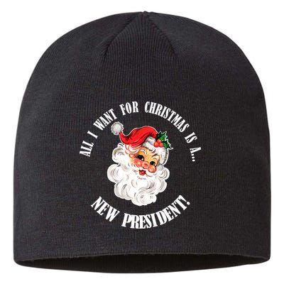 All I Want For Christmas Is A New President Funny Word Play Sustainable Beanie