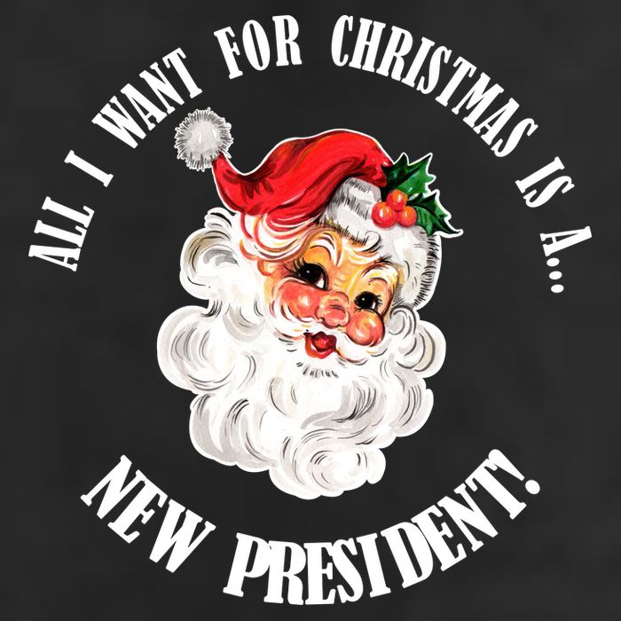 All I Want For Christmas Is A New President Funny Word Play Trucker Hat