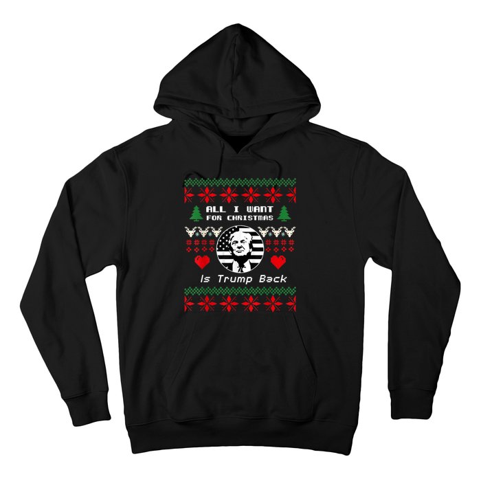 All I Want For Christmas Is Trump Back And New President Hoodie