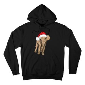 All I Want For Christmas Is An Elephant Ugly Xmas Sweater Hoodie