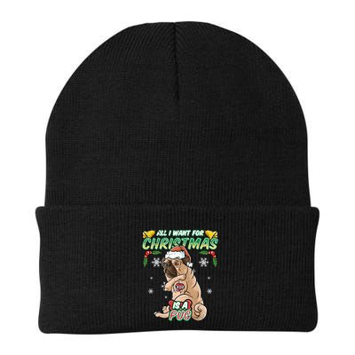 All I Want For Christmas Is A Pug Santa Claus Santa Claus Gift Beanie