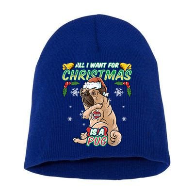 All I Want For Christmas Is A Pug Santa Claus Santa Claus Gift Short Acrylic Beanie
