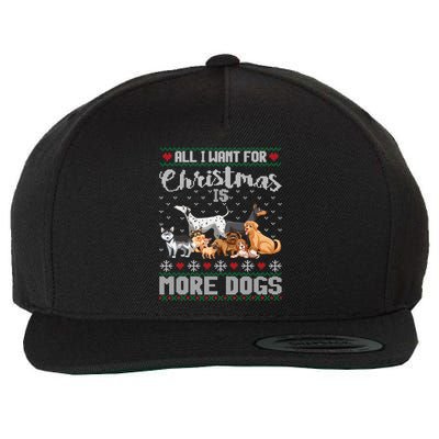 All I Want For Christmas Is More Dogs Ugly Xmas Sweater Gift Wool Snapback Cap