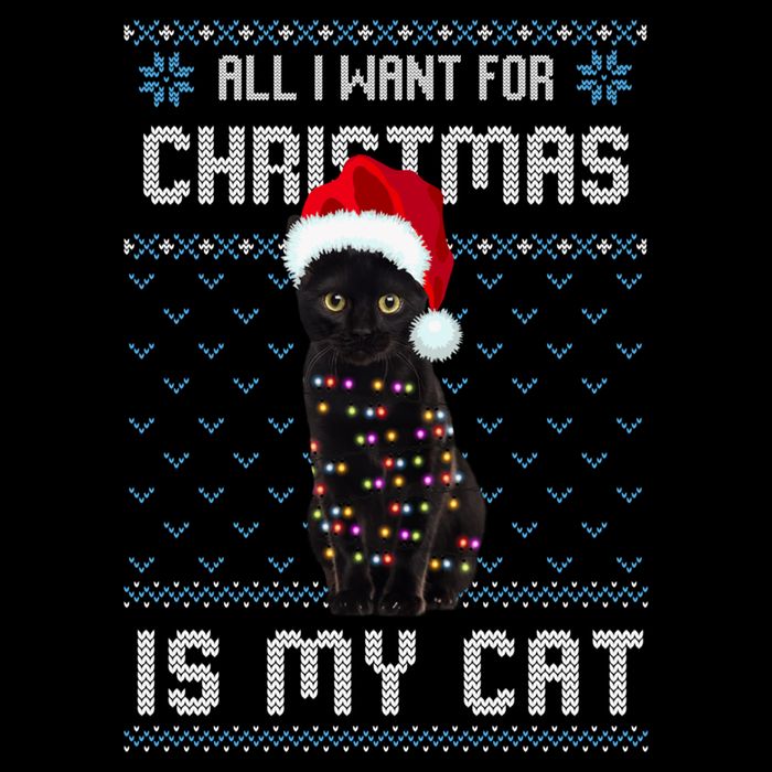 All I Want For Christmas Is My Cat Ugly Christmas Sweater Meaningful Gift Sustainable Bucket Hat