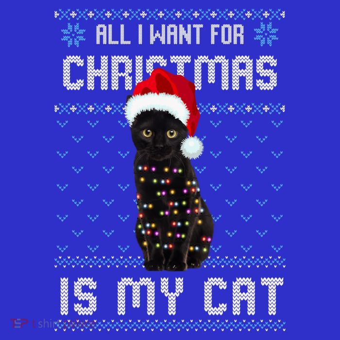 All I Want For Christmas Is My Cat Ugly Christmas Sweater Meaningful Gift Tall T-Shirt