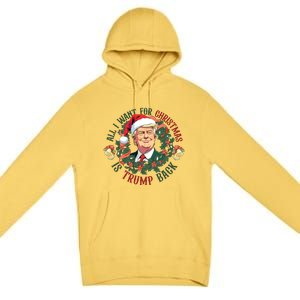 All I Want For Christmas Is Trump Back Christmas Trump Premium Pullover Hoodie