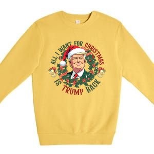 All I Want For Christmas Is Trump Back Christmas Trump Premium Crewneck Sweatshirt