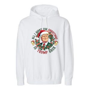 All I Want For Christmas Is Trump Back Christmas Trump Garment-Dyed Fleece Hoodie