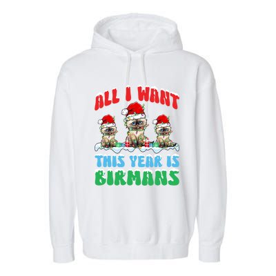 All I Want This Year Is Bir Cat Wearing Christmas Hat Cool Gift Garment-Dyed Fleece Hoodie