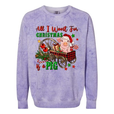 All I Want For Christmas Is A Pig Merry Christmas Pajamas Gift Colorblast Crewneck Sweatshirt