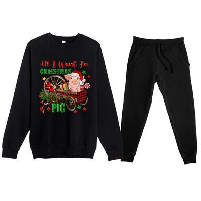 All I Want For Christmas Is A Pig Merry Christmas Pajamas Gift Premium Crewneck Sweatsuit Set