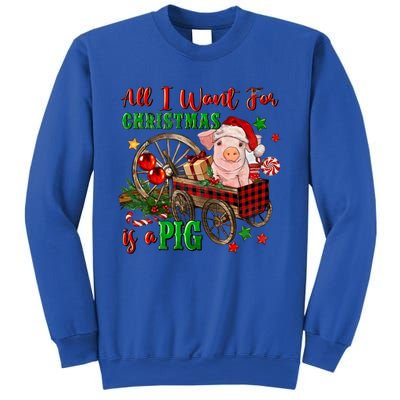 All I Want For Christmas Is A Pig Merry Christmas Pajamas Gift Sweatshirt