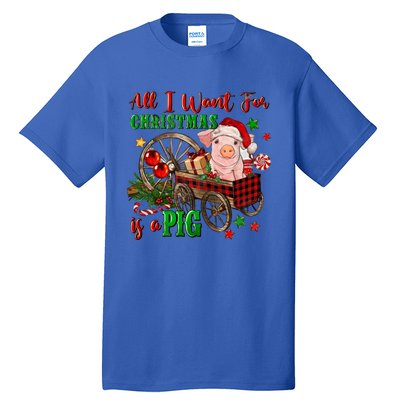 All I Want For Christmas Is A Pig Merry Christmas Pajamas Gift Tall T-Shirt