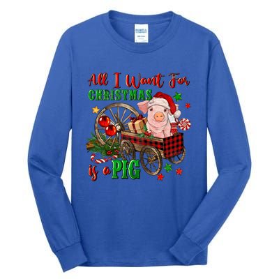 All I Want For Christmas Is A Pig Merry Christmas Pajamas Gift Tall Long Sleeve T-Shirt