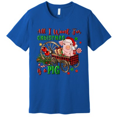 All I Want For Christmas Is A Pig Merry Christmas Pajamas Gift Premium T-Shirt