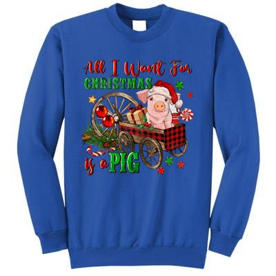 All I Want For Christmas Is A Pig Merry Christmas Pajamas Gift Tall Sweatshirt